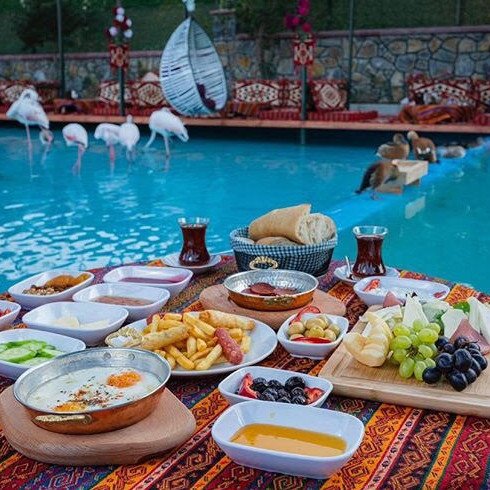 تناول فطورك بين طيور الفلامنجو – إسطنبول توزلا