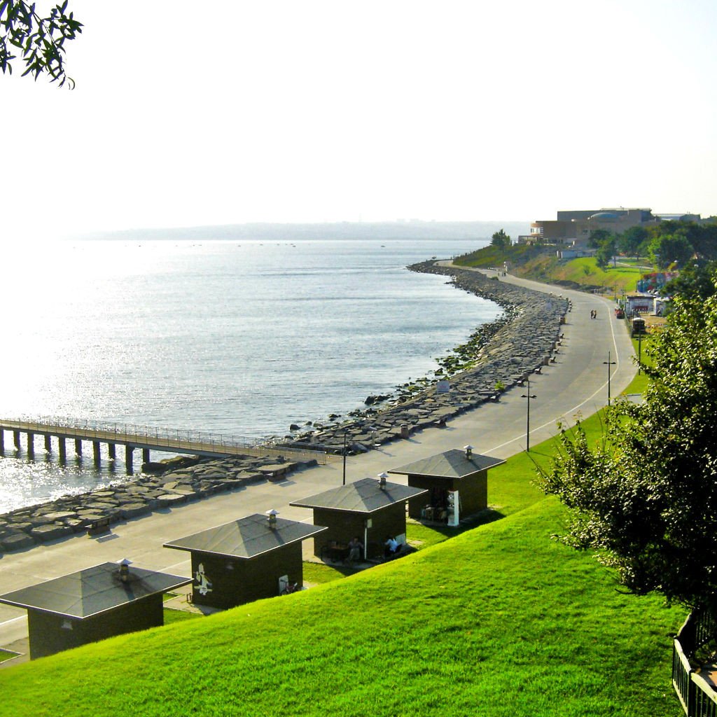 جولة فلوريا – رفاهية بحرية وتسوق عصري